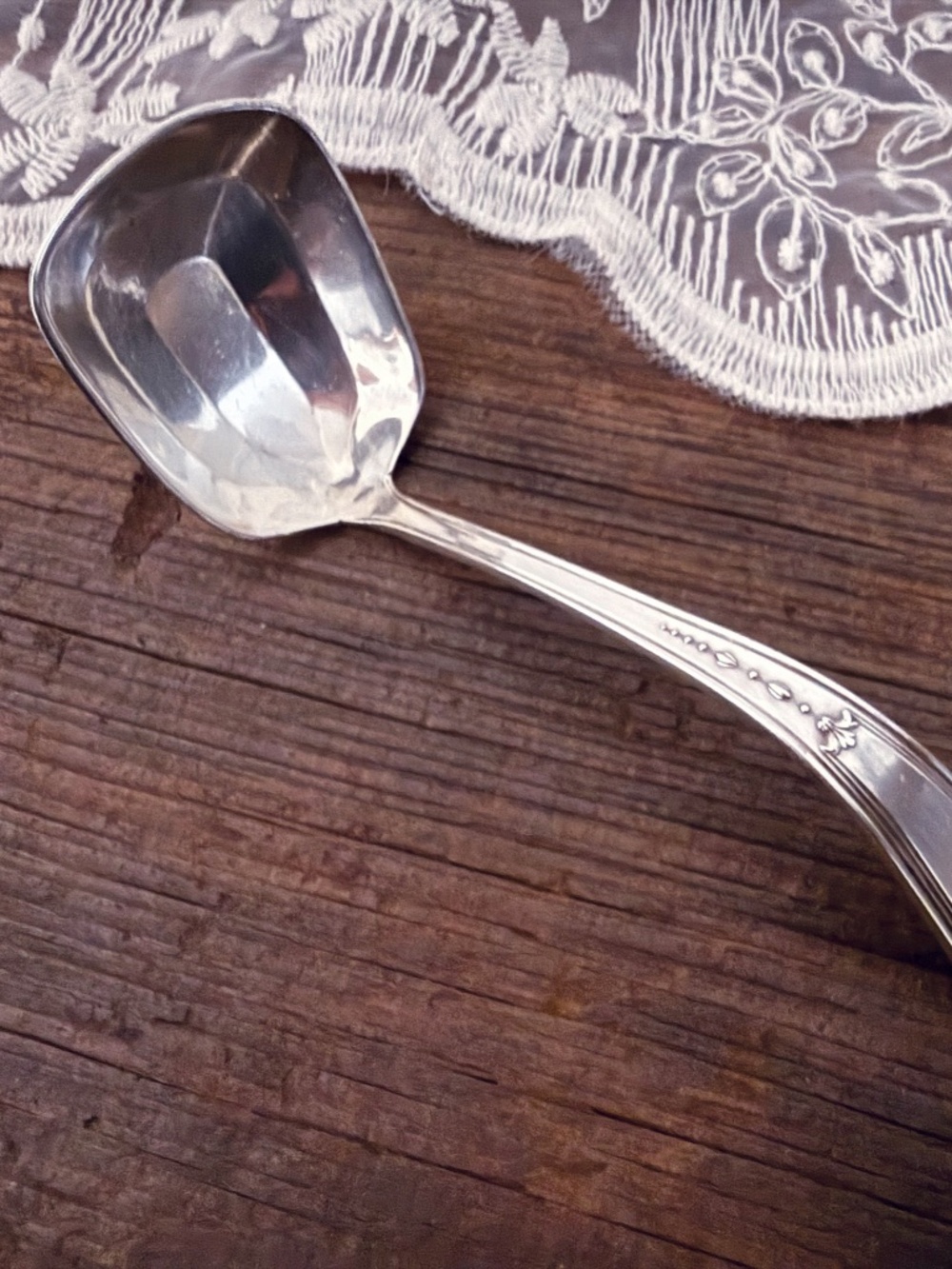 Silver Plated Sauce Ladle
